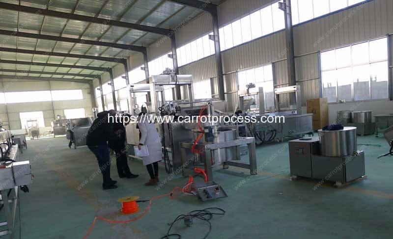 Carrot-Fries-Making-Machine-Manufacture-Factory-Visit-Romiter-Machinery