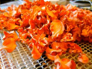 How to Make Carrot Chips in Factor