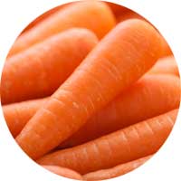 Feature02-Carrot-Washing-Machine-and-Carrot-Peeling-Machine
