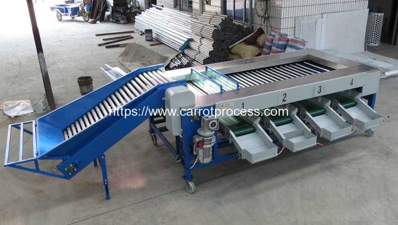 Type machine de tri de taille de carotte