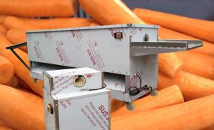 Peladora de zanahoria tipo cuchilla multifuncional
