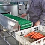 Automatic Carrot Top and End Cutting Machine