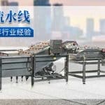 Automatic Carrot Air Bubble Washing and Brush Cleaning Line