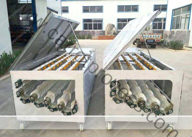 Automatic Carrot Earth Washing Cleaning Machine | Carrot Processing ...